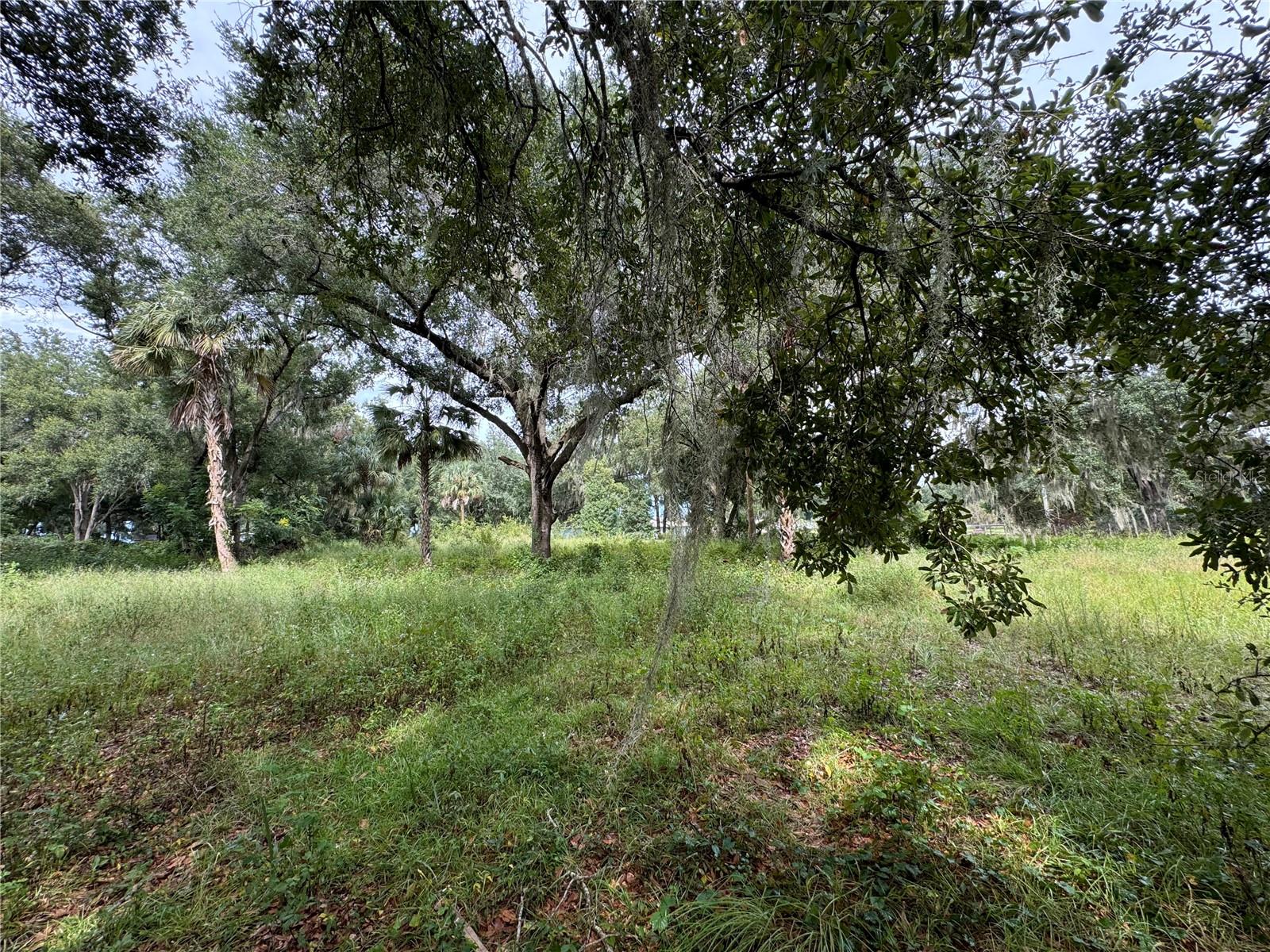 11311 SE 132ND PL, OCKLAWAHA, FL, 32179
