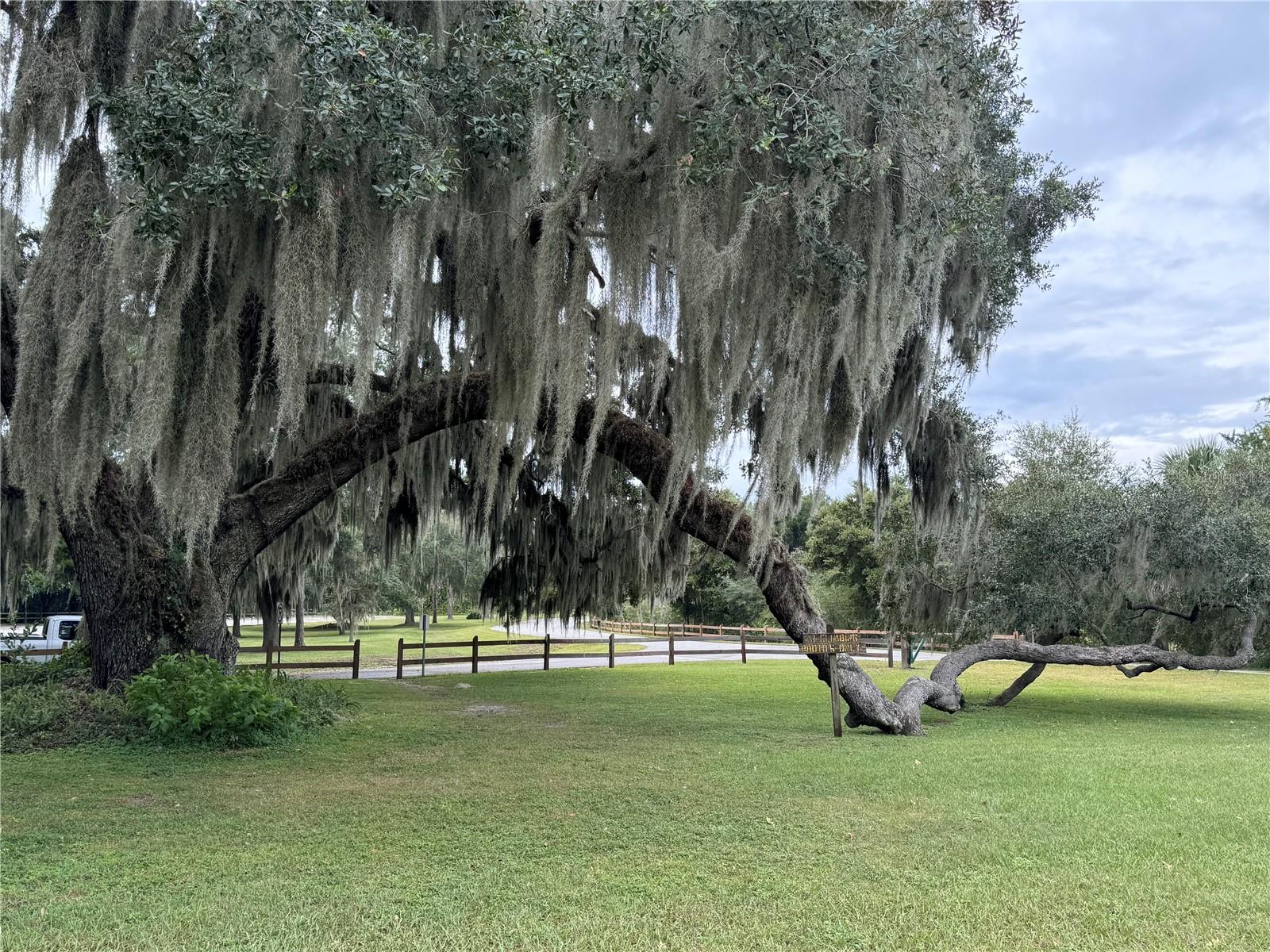 11311 SE 132ND PL, OCKLAWAHA, FL, 32179