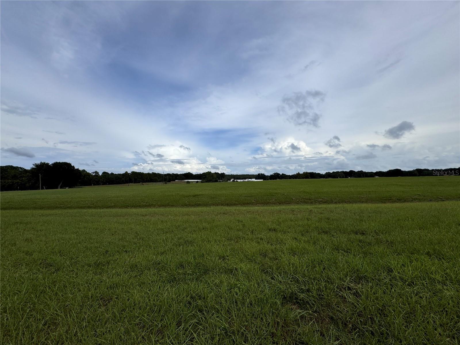 11311 SE 132ND PL, OCKLAWAHA, FL, 32179