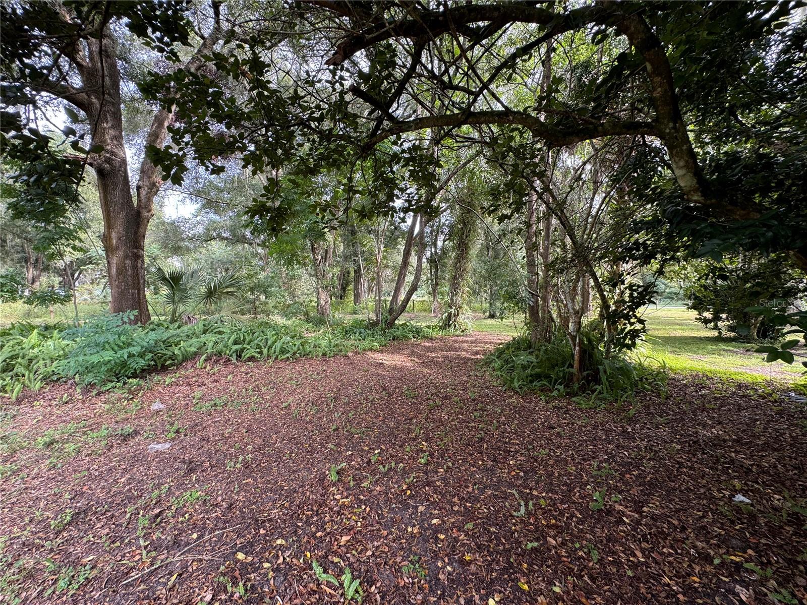 11311 SE 132ND PL, OCKLAWAHA, FL, 32179