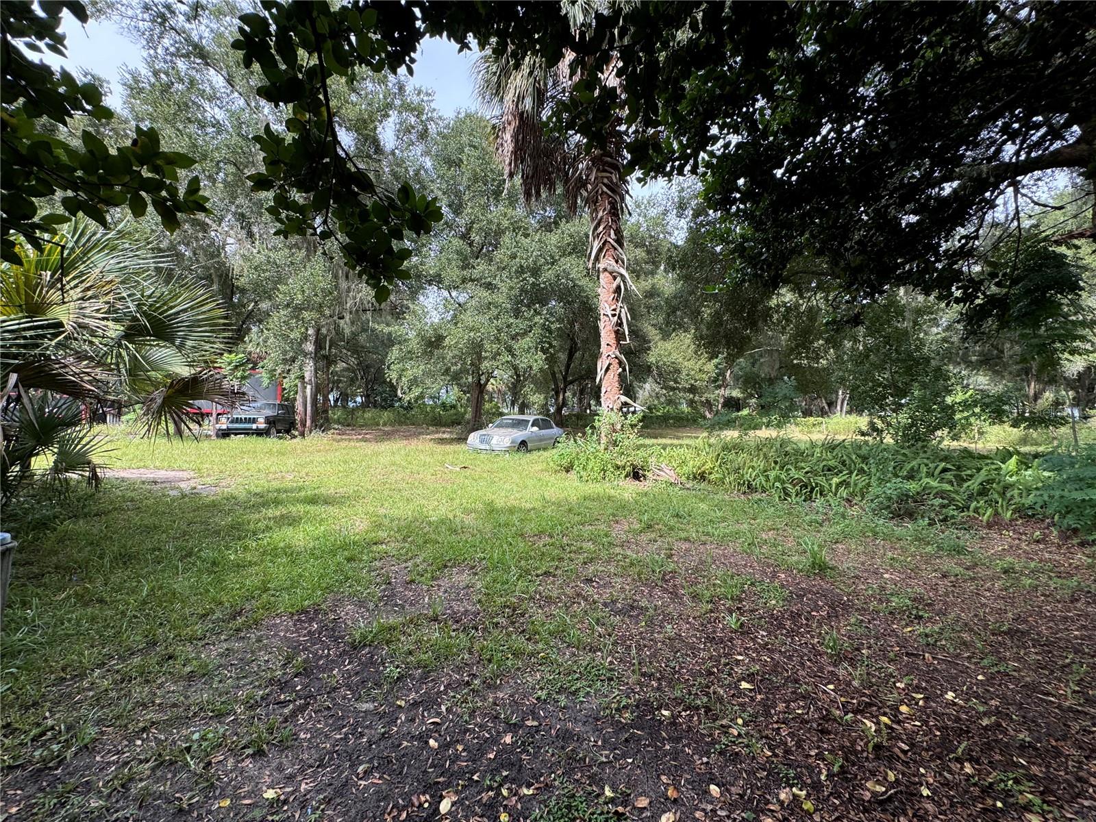 11311 SE 132ND PL, OCKLAWAHA, FL, 32179