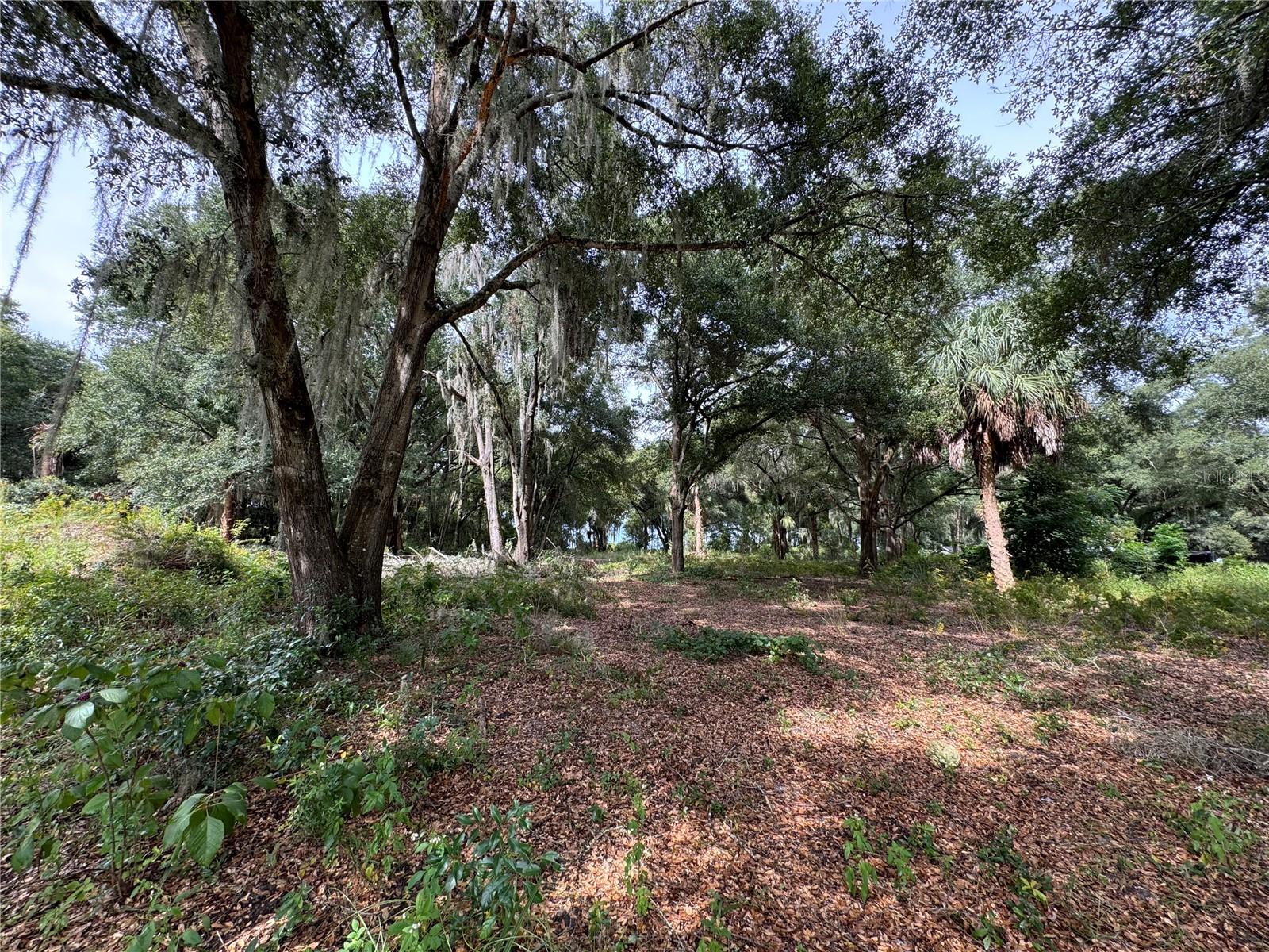 11311 SE 132ND PL, OCKLAWAHA, FL, 32179