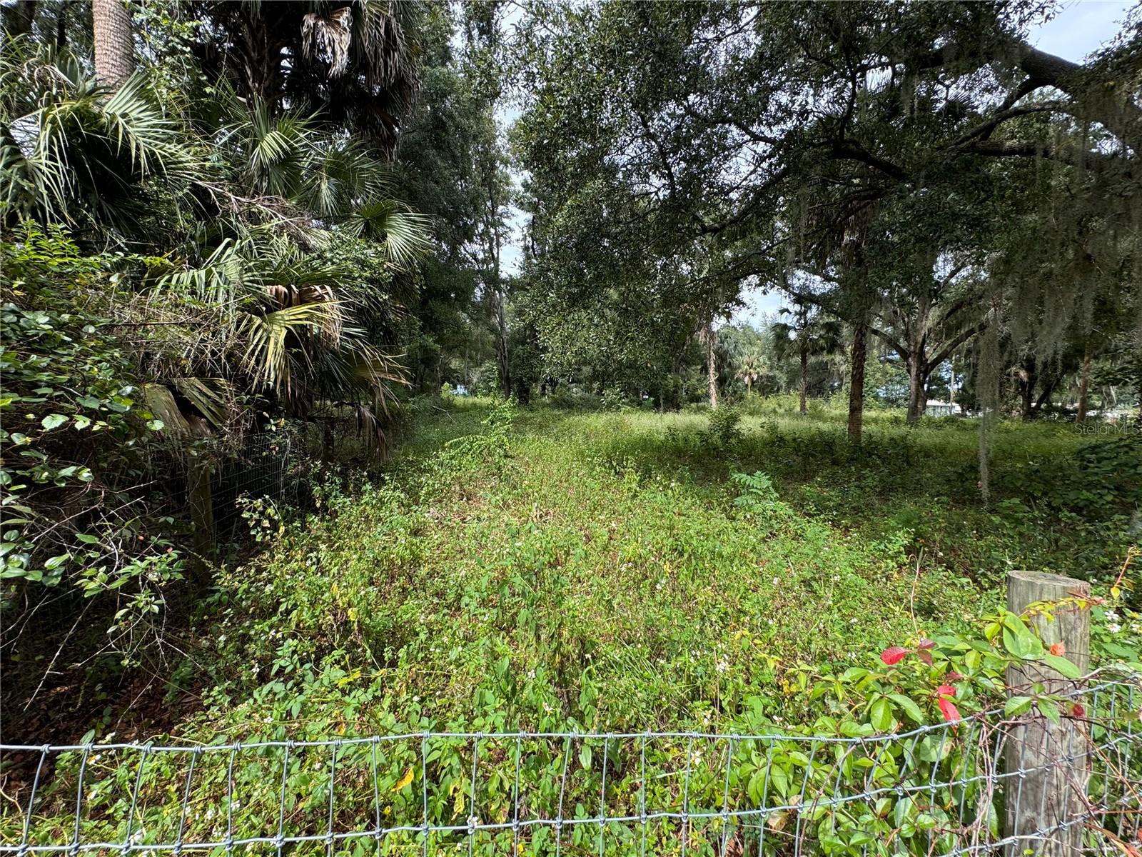 11311 SE 132ND PL, OCKLAWAHA, FL, 32179