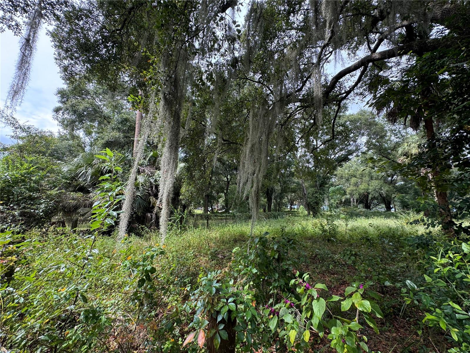 11311 SE 132ND PL, OCKLAWAHA, FL, 32179