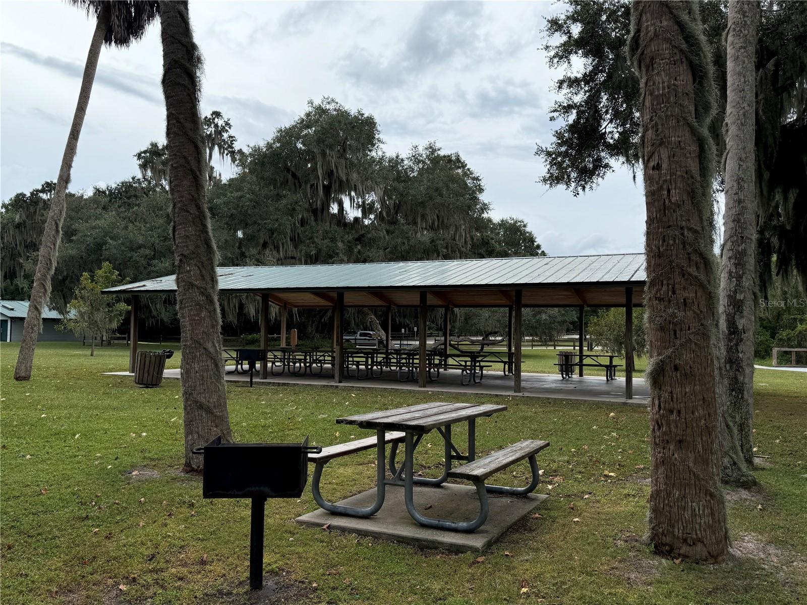 11311 SE 132ND PL, OCKLAWAHA, FL, 32179