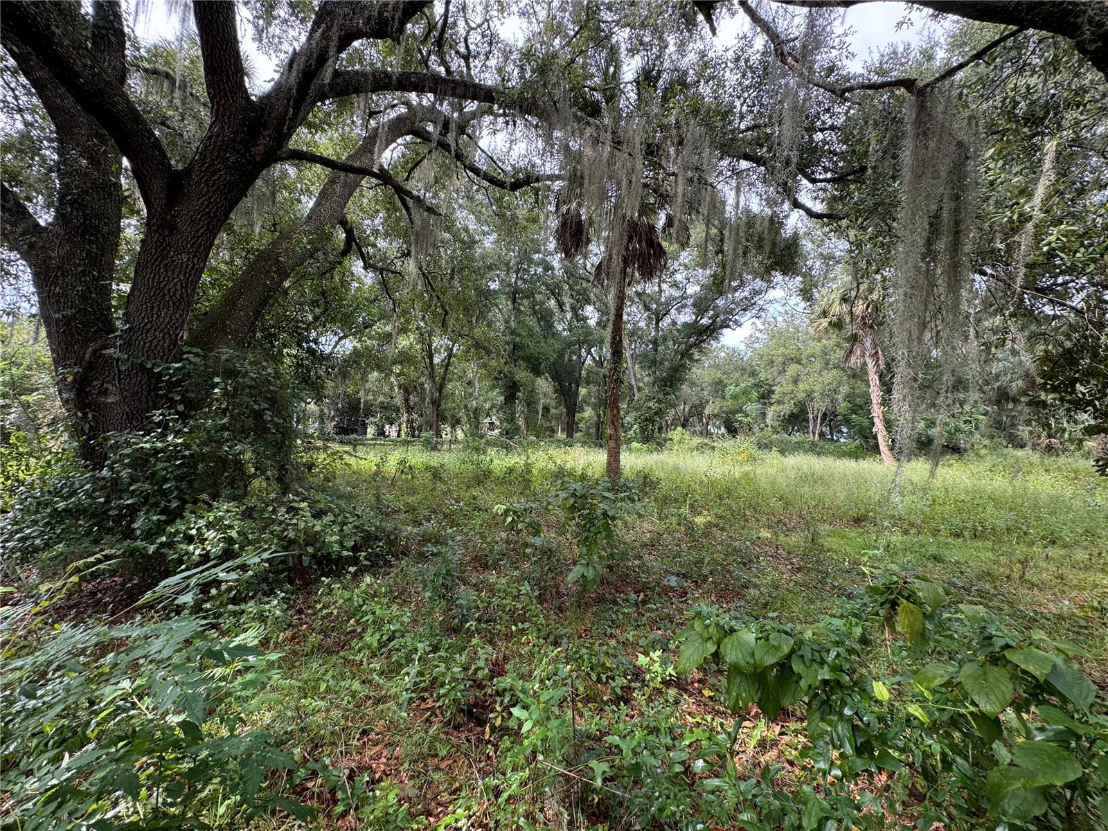 11311 SE 132ND PL, OCKLAWAHA, FL, 32179