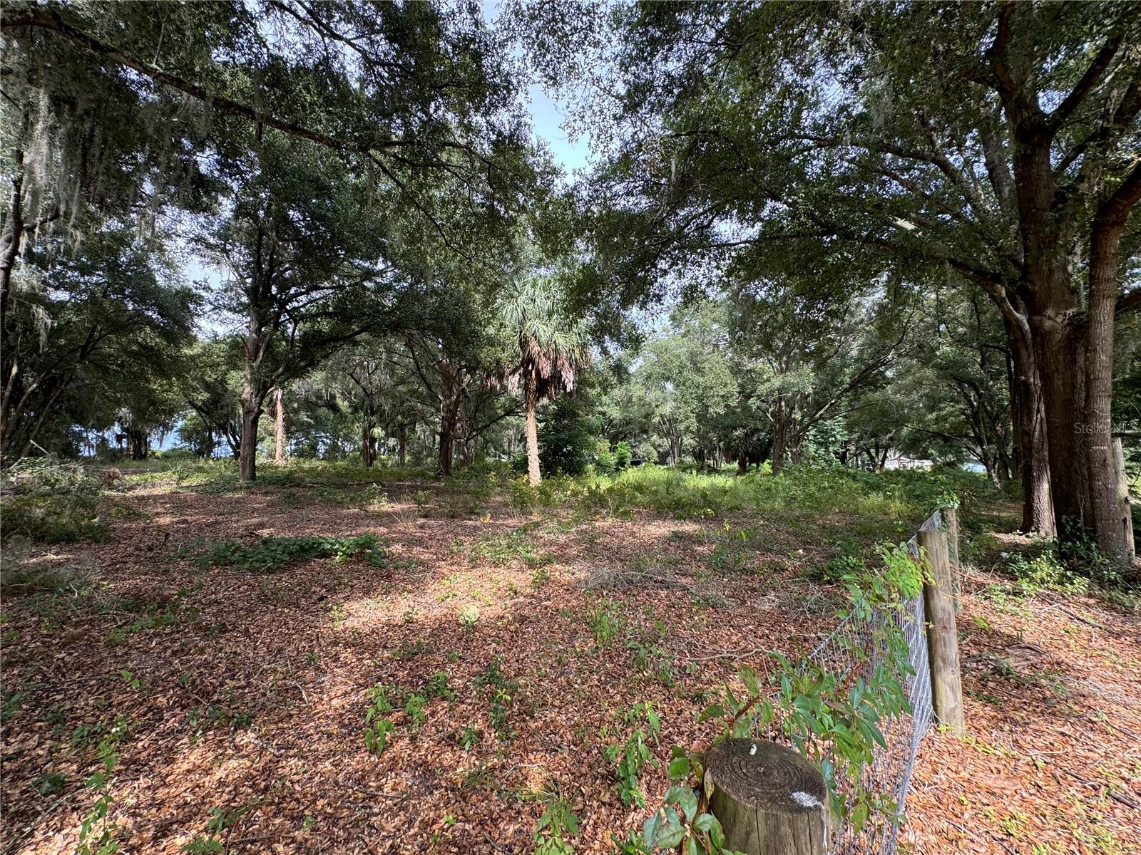 11311 SE 132ND PL, OCKLAWAHA, FL, 32179