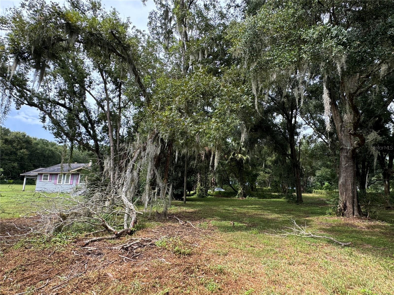 11311 SE 132ND PL, OCKLAWAHA, FL, 32179