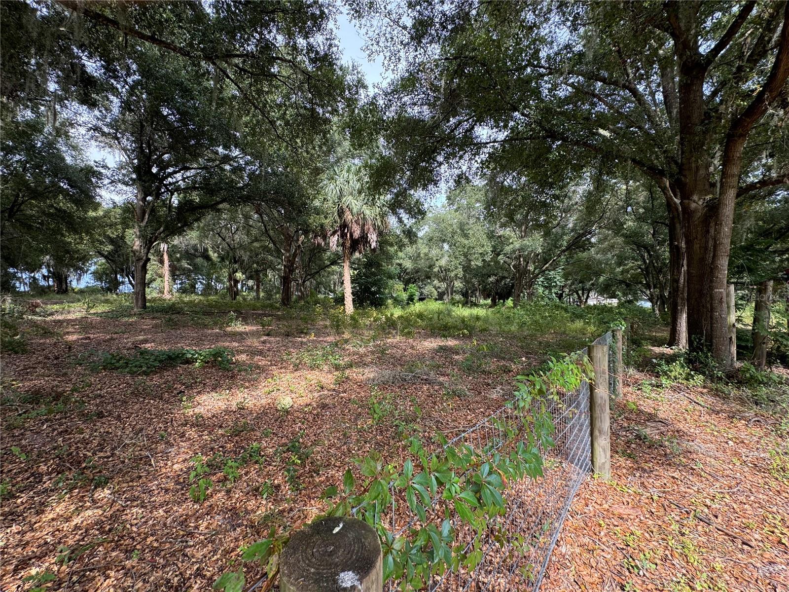 11311 SE 132ND PL, OCKLAWAHA, FL, 32179
