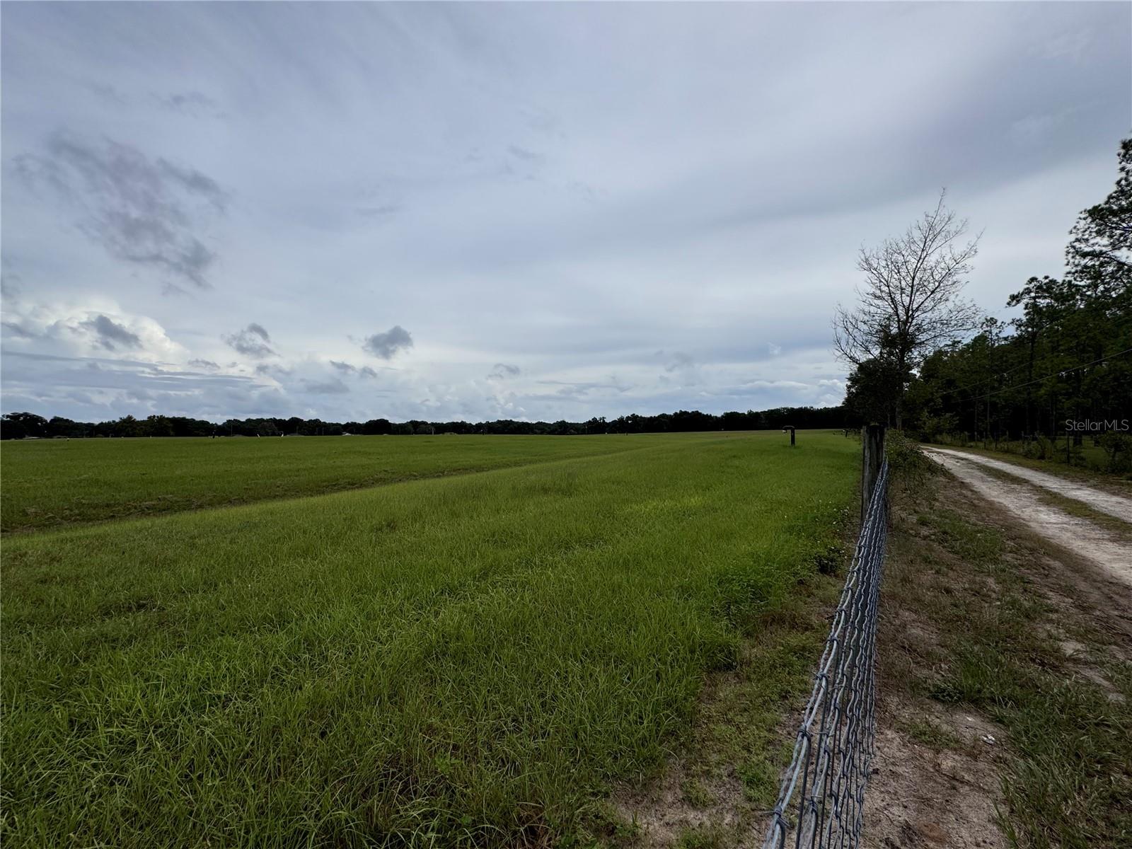 11311 SE 132ND PL, OCKLAWAHA, FL, 32179