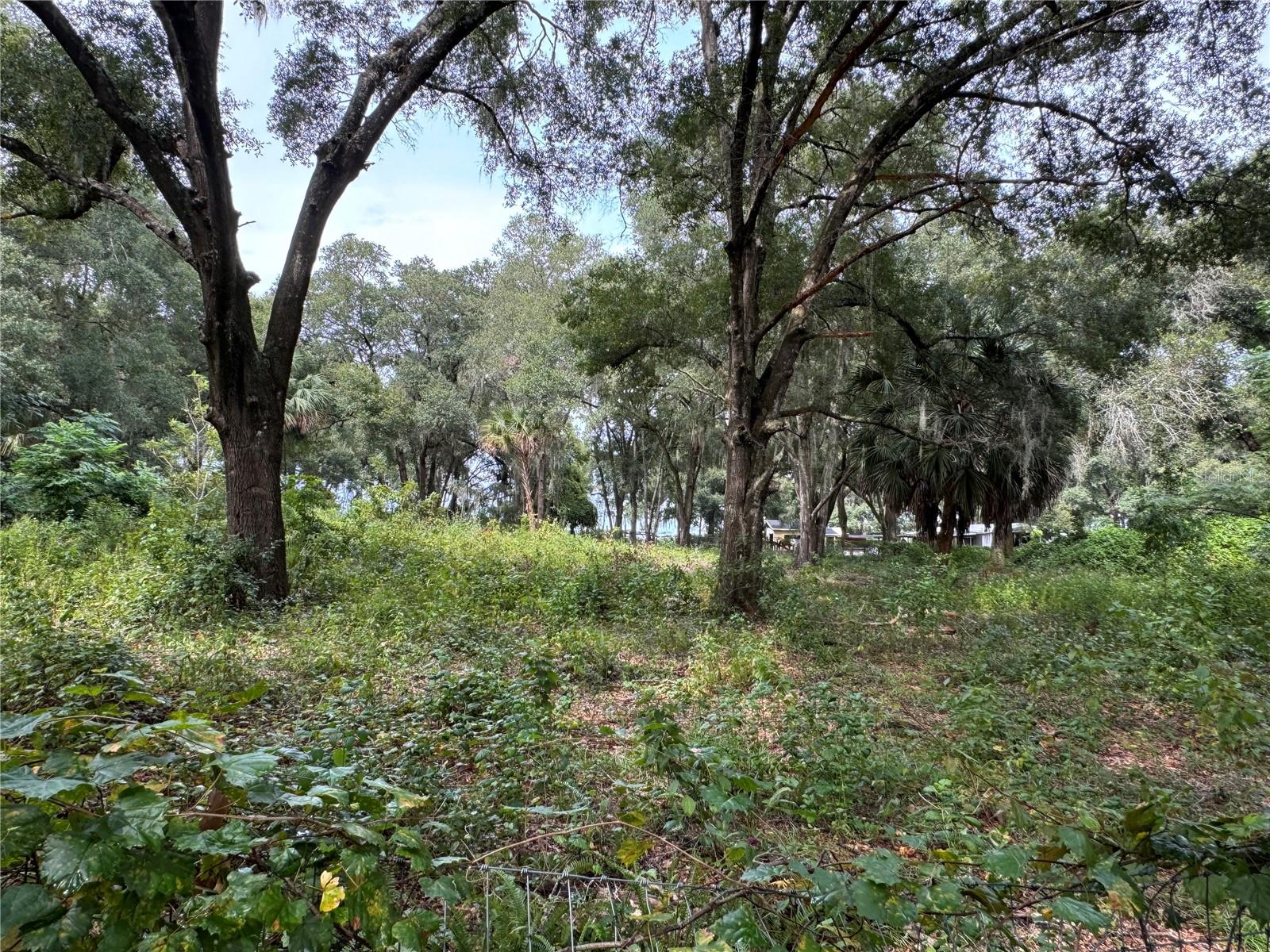 11311 SE 132ND PL, OCKLAWAHA, FL, 32179