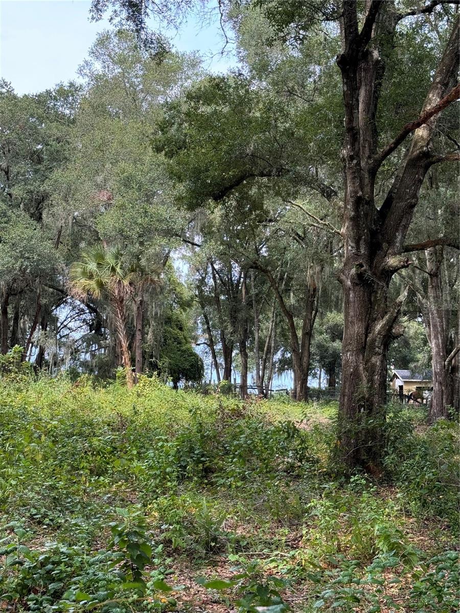 11311 SE 132ND PL, OCKLAWAHA, FL, 32179