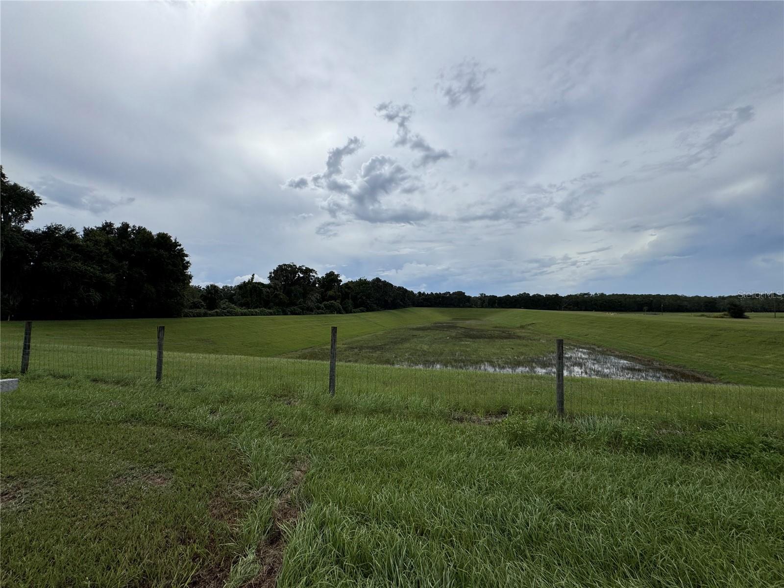 11311 SE 132ND PL, OCKLAWAHA, FL, 32179