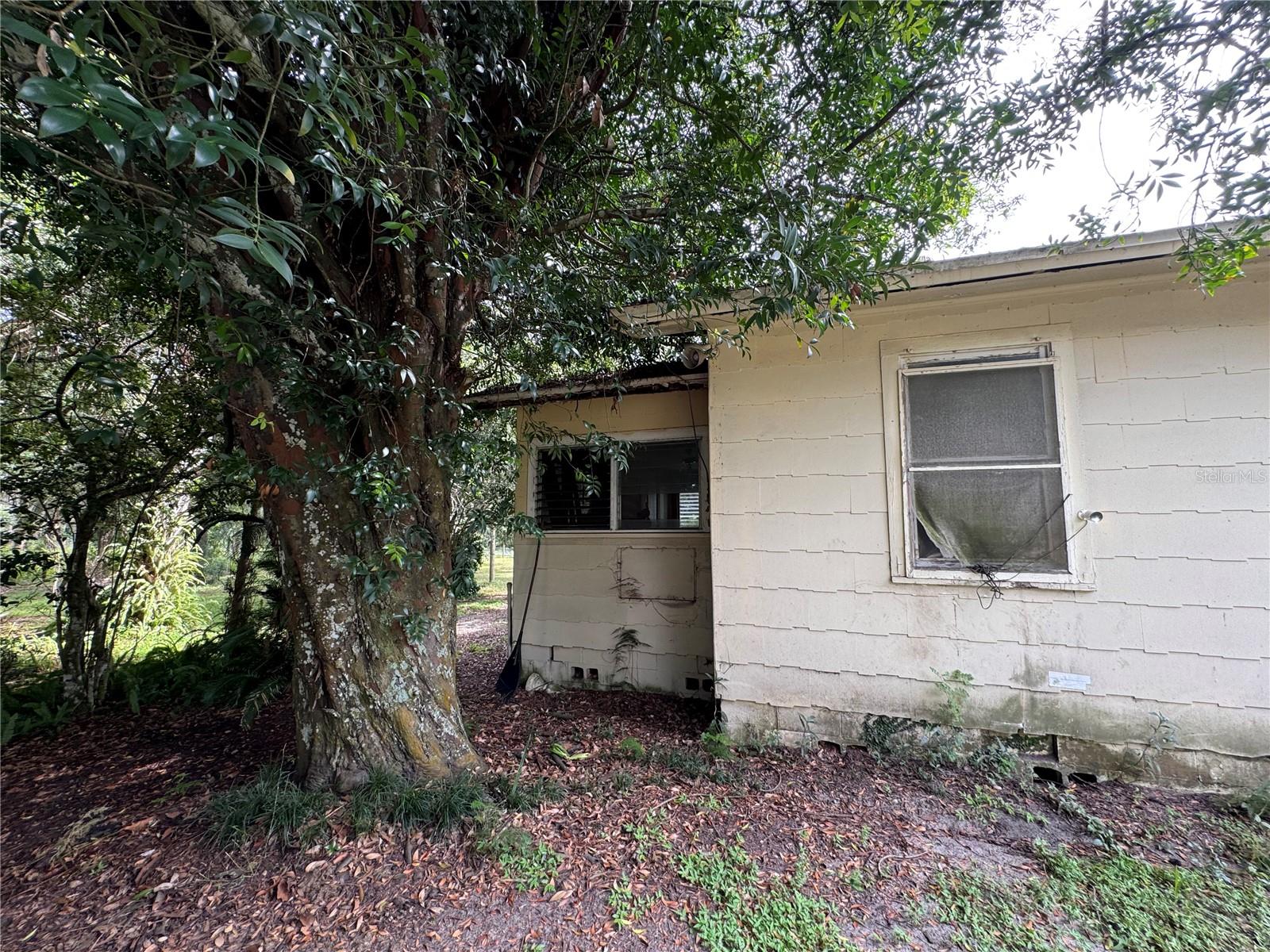 11311 SE 132ND PL, OCKLAWAHA, FL, 32179