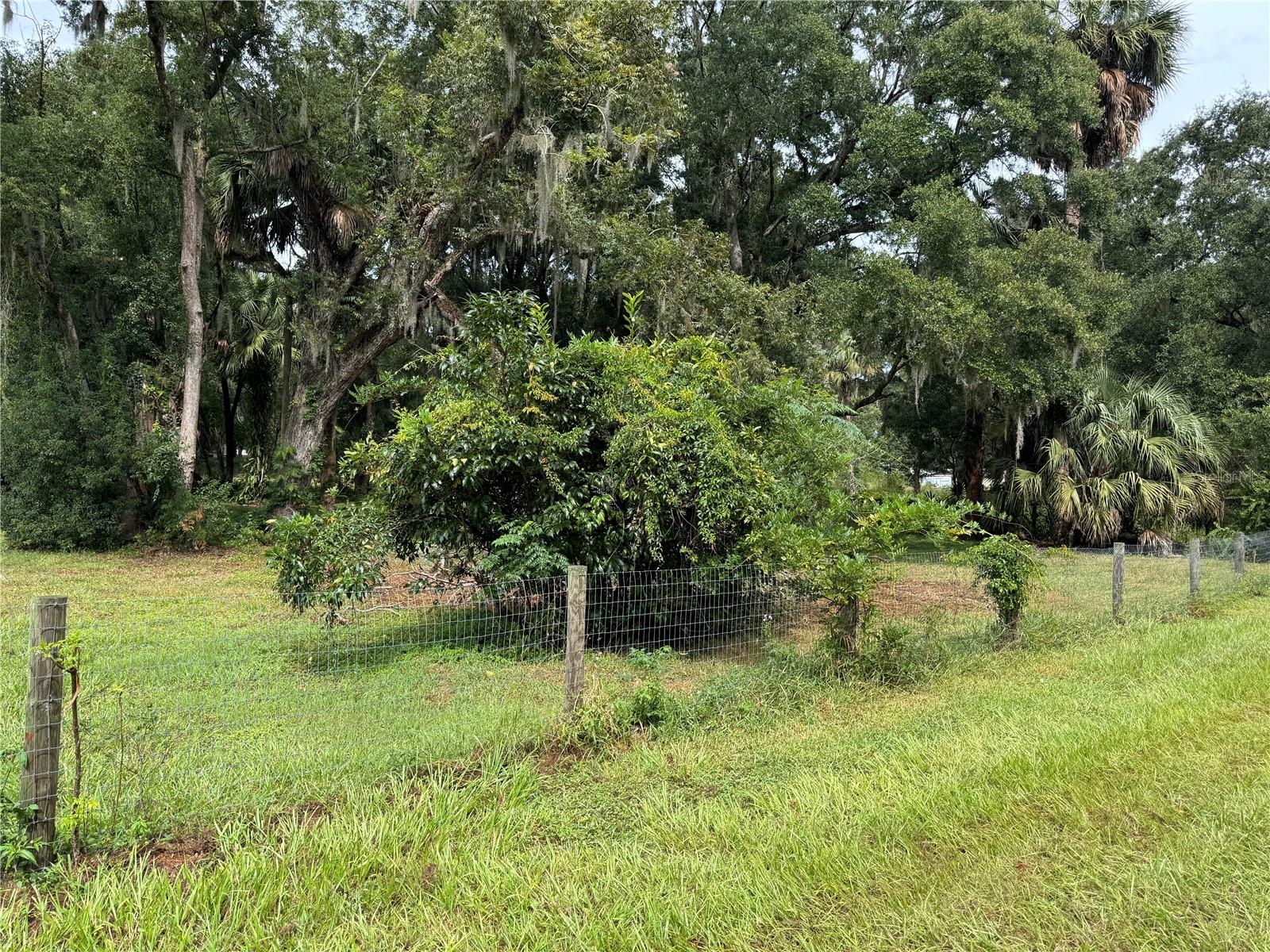 11311 SE 132ND PL, OCKLAWAHA, FL, 32179