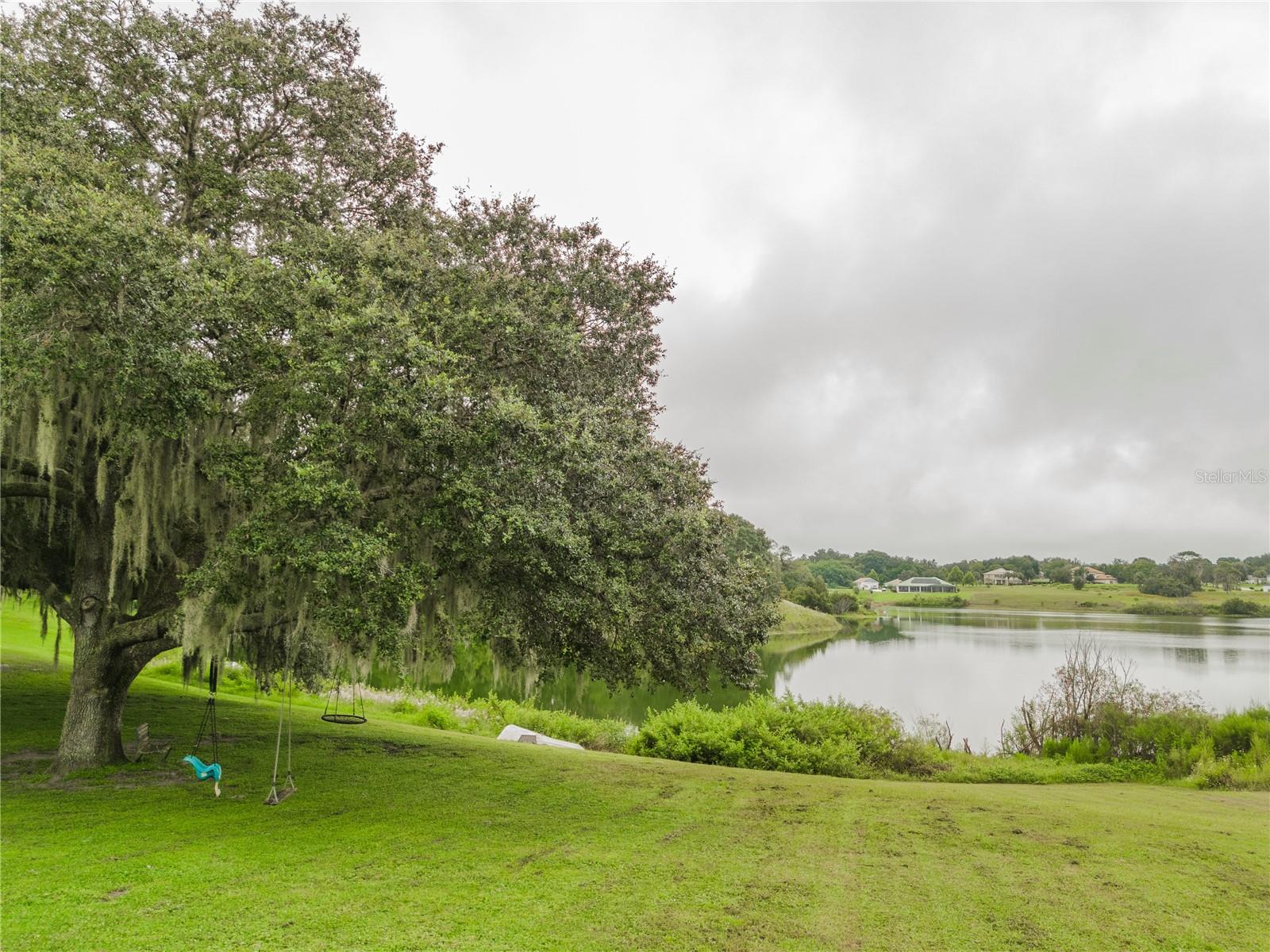 23555 MILFORD DR, EUSTIS, FL, 32736