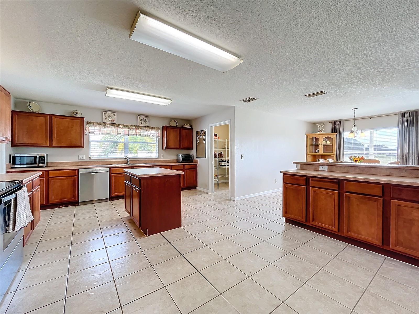 24341 MILFORD DR, EUSTIS, FL, 32736