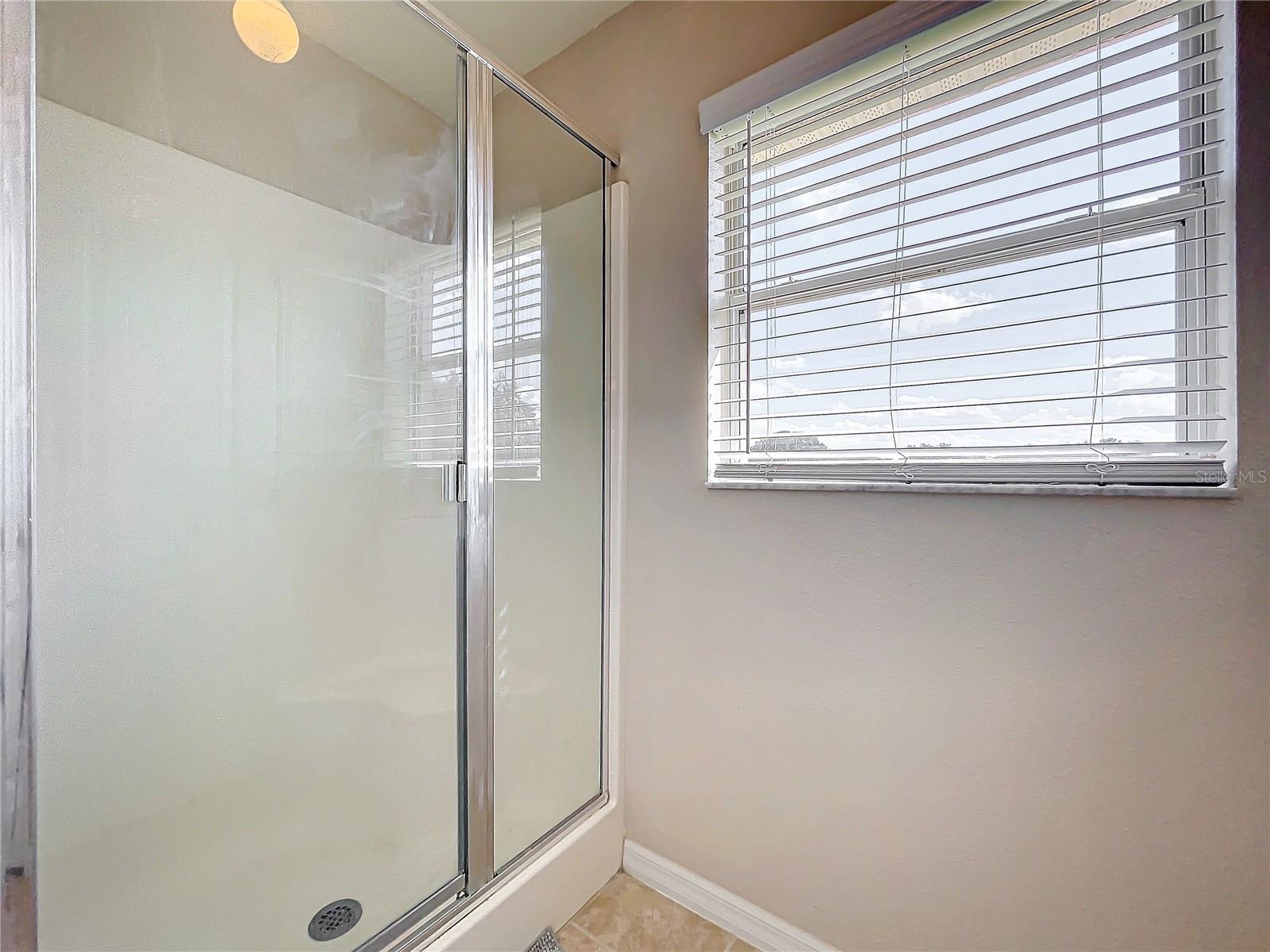 24341 MILFORD DR, EUSTIS, FL, 32736