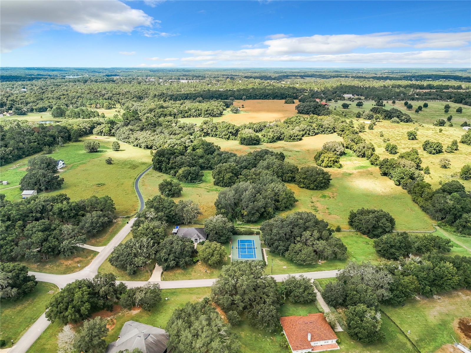 24341 MILFORD DR, EUSTIS, FL, 32736