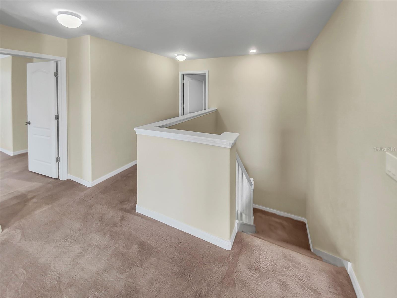 4417 SHREWBURY PL, LAND O LAKES, FL, 34638