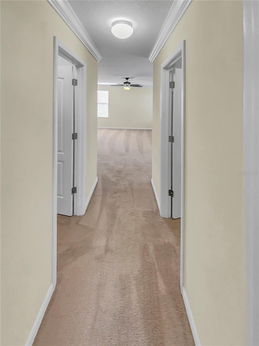 4417 SHREWBURY PL, LAND O LAKES, FL, 34638
