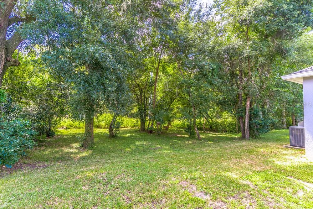 244 W FIESTA KEY LOOP, DELAND, FL, 32720