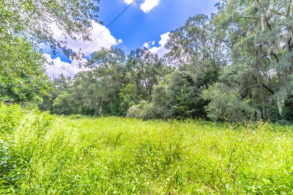 244 W FIESTA KEY LOOP, DELAND, FL, 32720