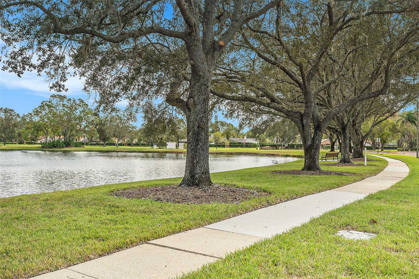 3664 DARSTON ST, PALM HARBOR, FL, 34685