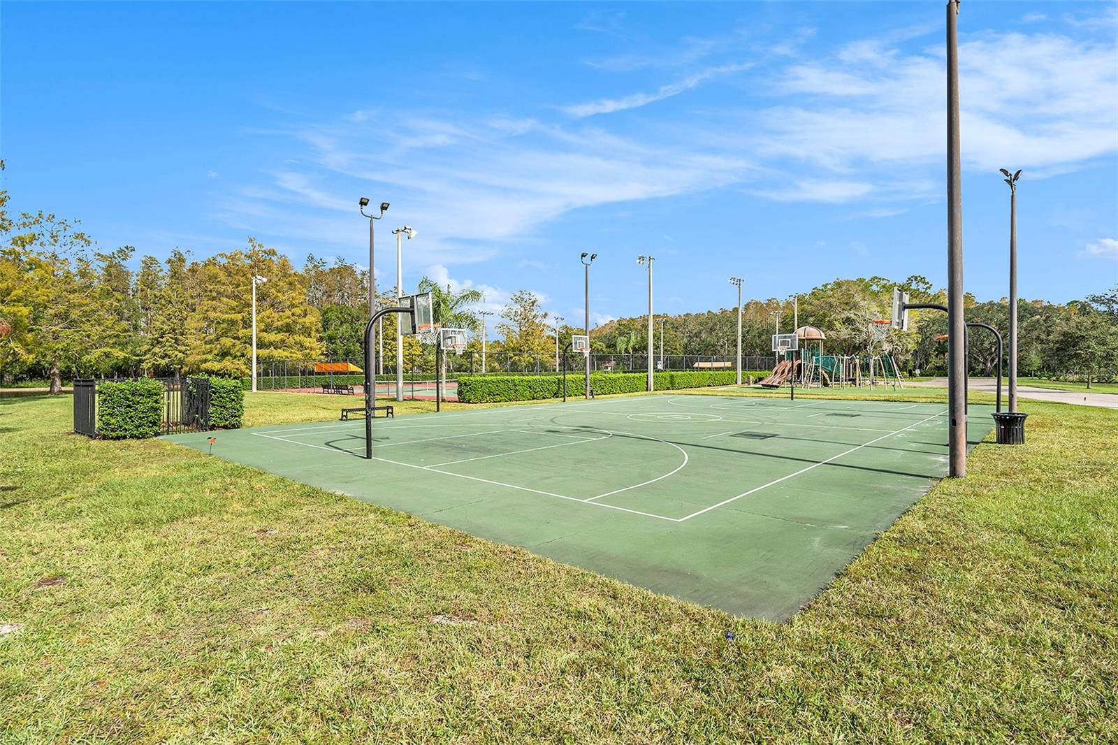 3664 DARSTON ST, PALM HARBOR, FL, 34685