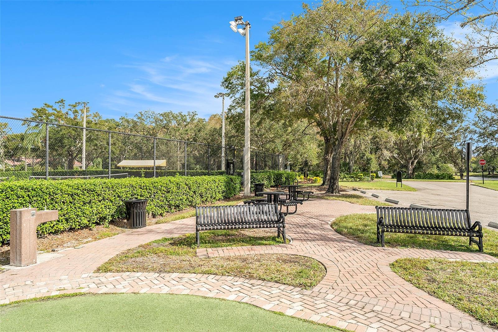 3664 DARSTON ST, PALM HARBOR, FL, 34685