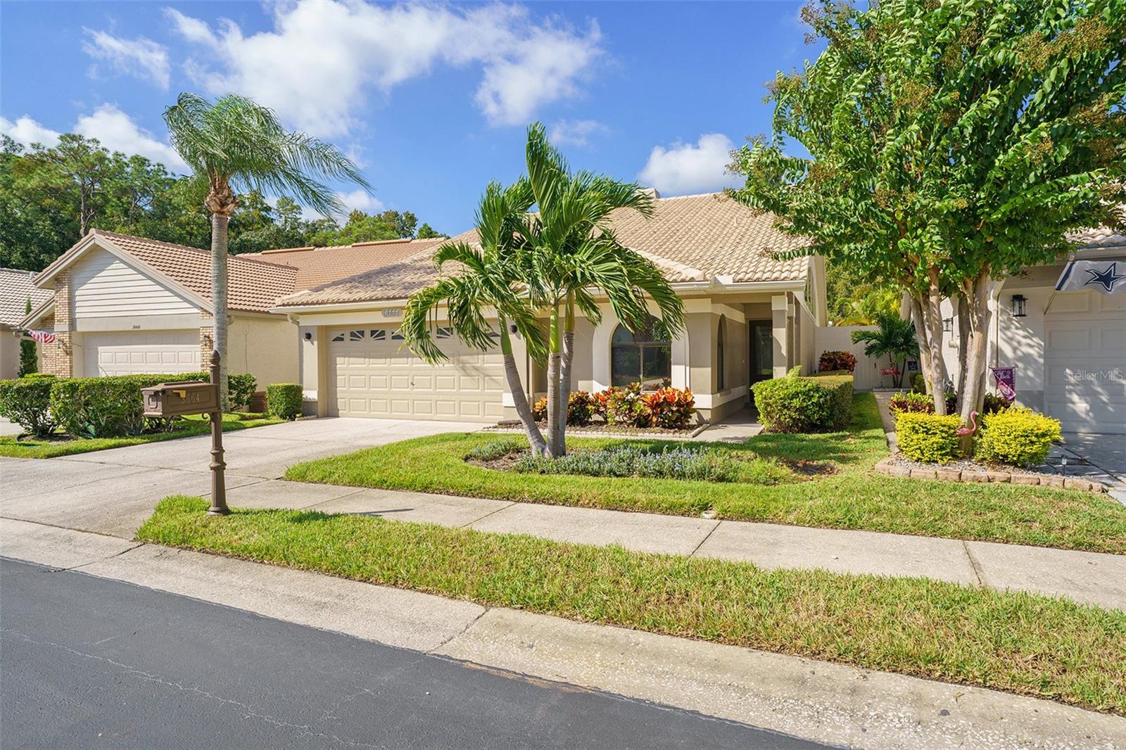 3664 DARSTON ST, PALM HARBOR, FL, 34685