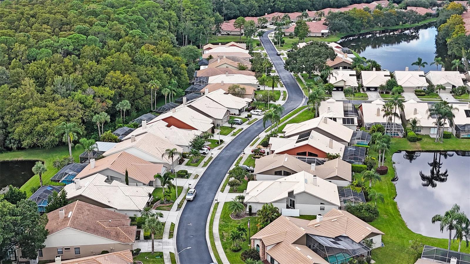 3664 DARSTON ST, PALM HARBOR, FL, 34685