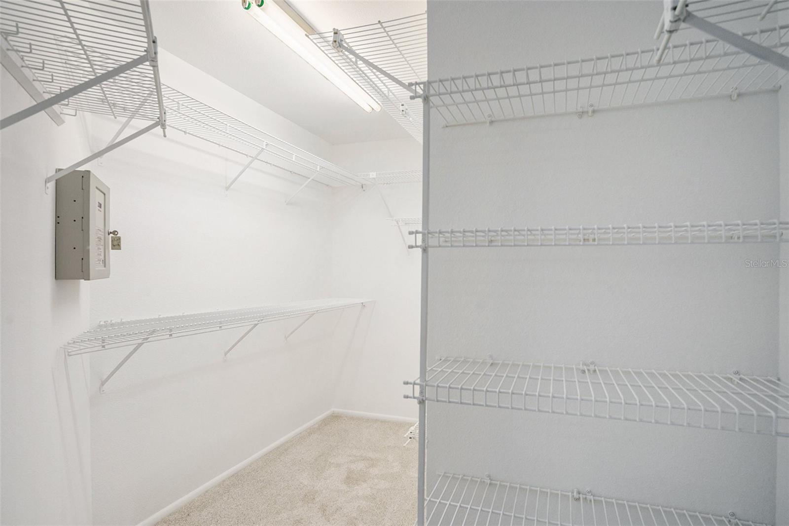 3664 DARSTON ST, PALM HARBOR, FL, 34685