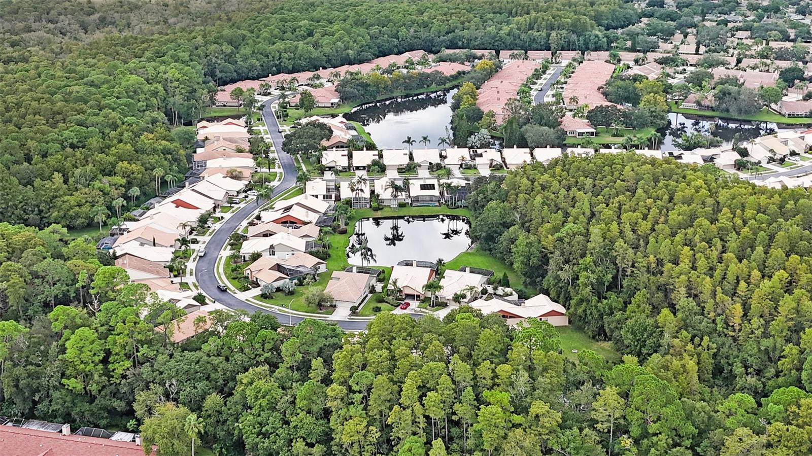 3664 DARSTON ST, PALM HARBOR, FL, 34685