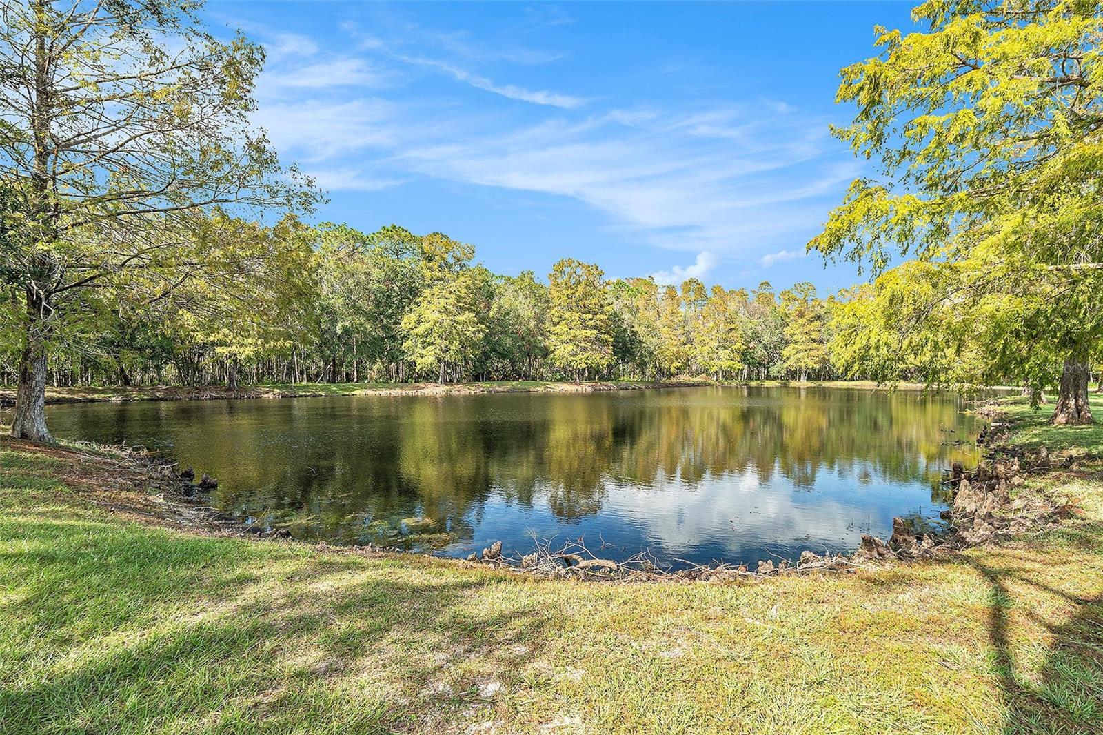 3664 DARSTON ST, PALM HARBOR, FL, 34685