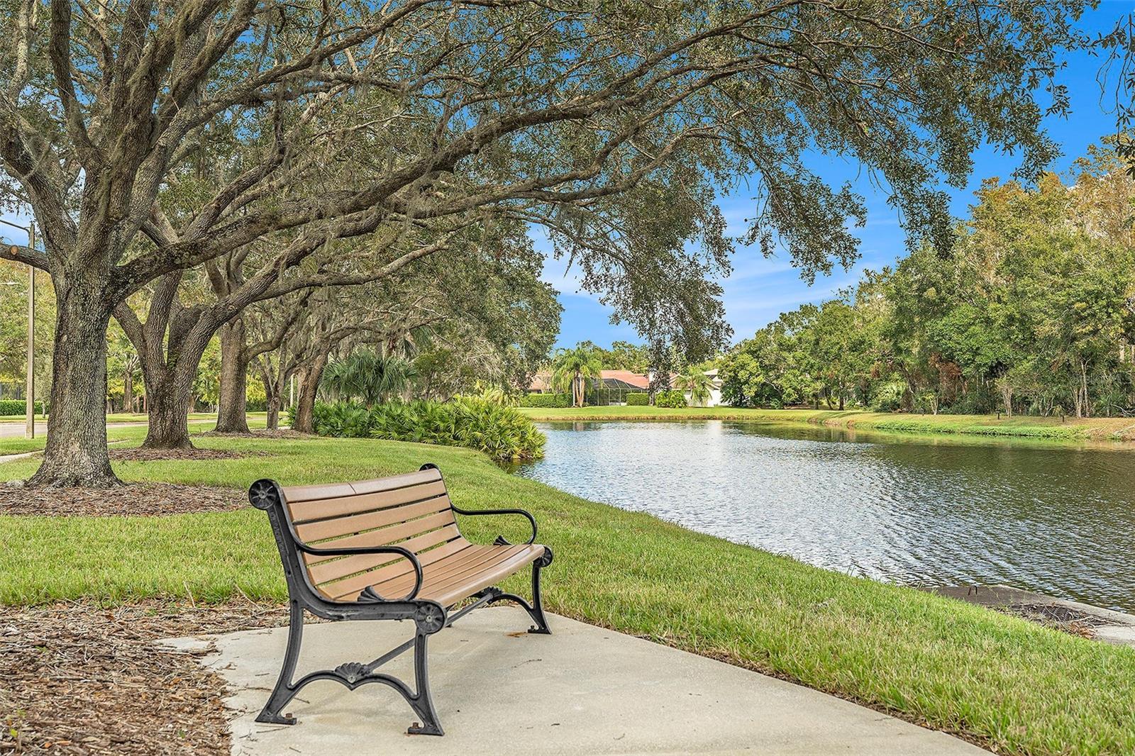 3664 DARSTON ST, PALM HARBOR, FL, 34685