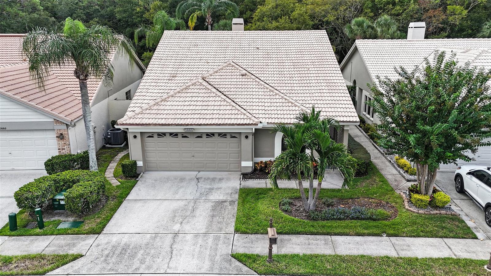 3664 DARSTON ST, PALM HARBOR, FL, 34685