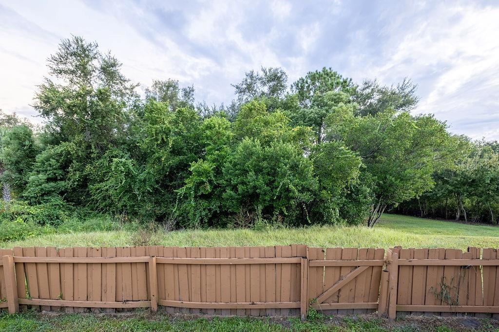 3167 EGRETS LANDING DR, LAKE MARY, FL, 32746