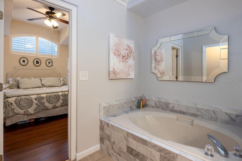 3167 EGRETS LANDING DR, LAKE MARY, FL, 32746