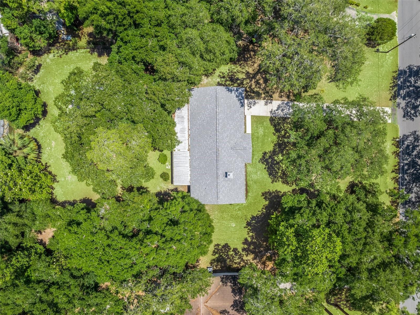 247 W MCCLENDON ST, LADY LAKE, FL, 32159