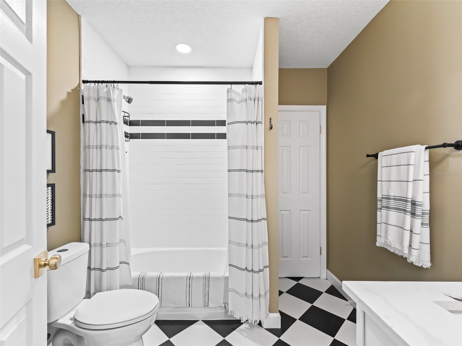 247 W MCCLENDON ST, LADY LAKE, FL, 32159