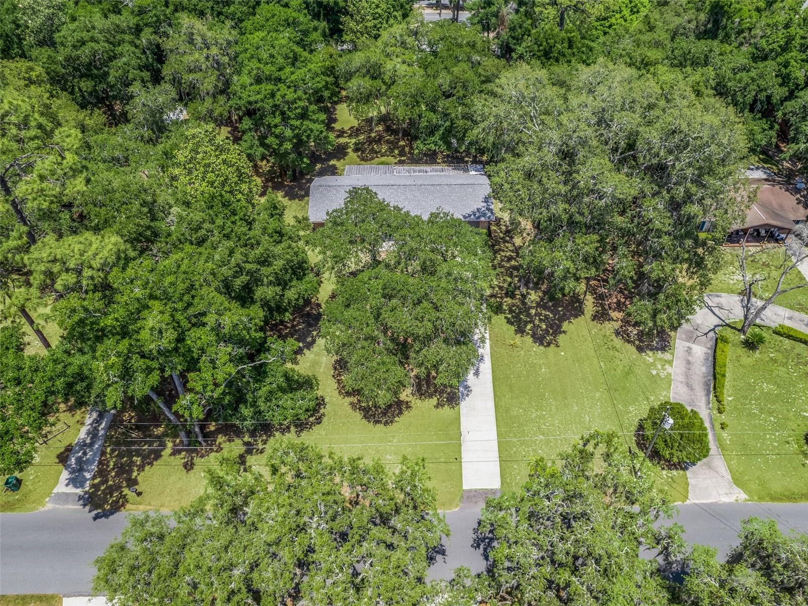 247 W MCCLENDON ST, LADY LAKE, FL, 32159