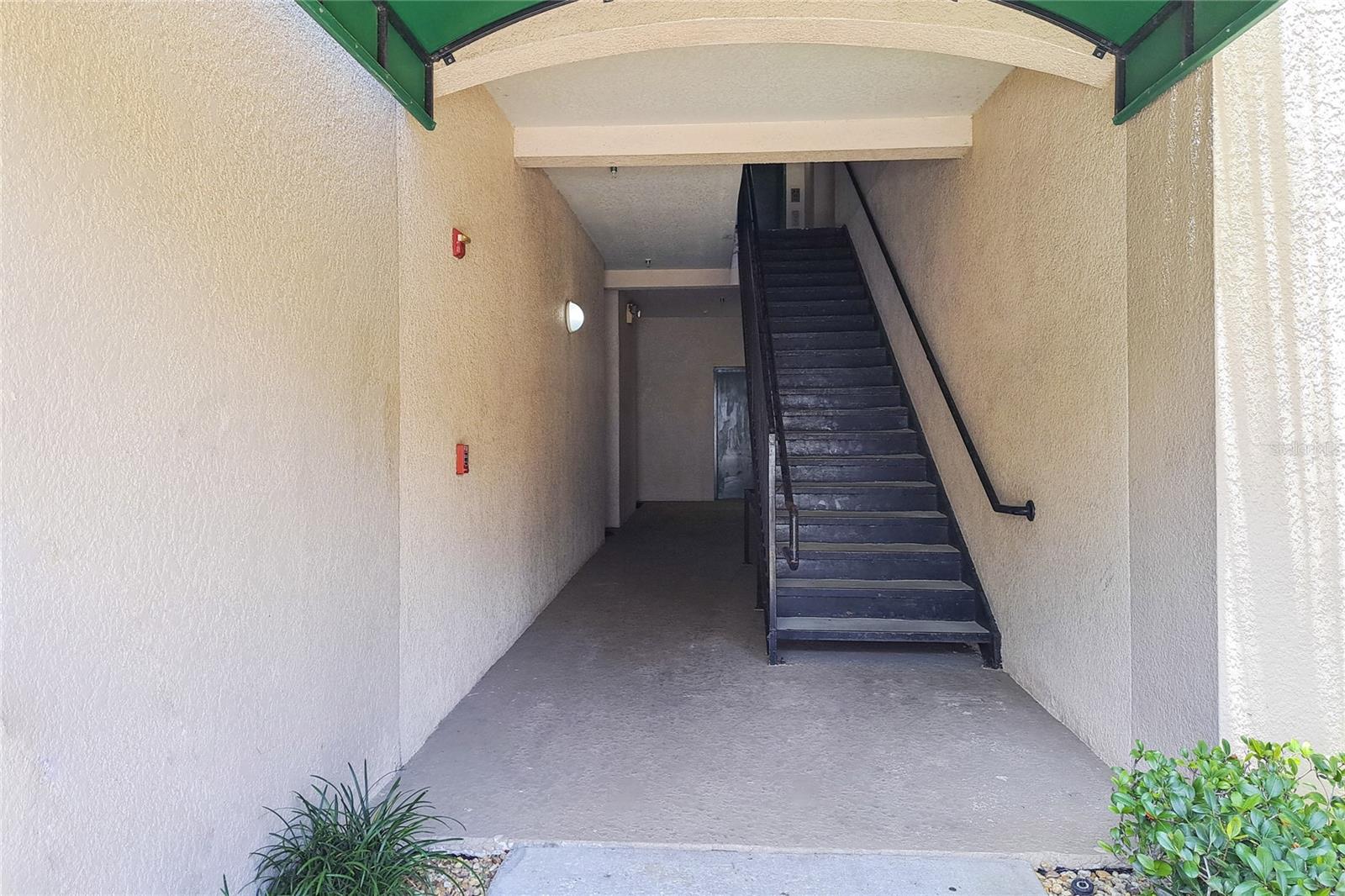3321 WHITESTONE CIR #204, KISSIMMEE, FL, 34741