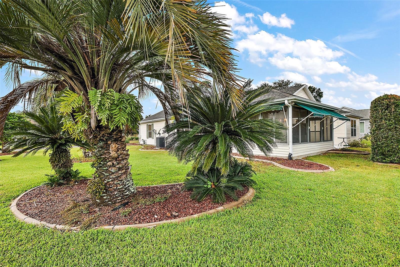 1401 VALPARAISO ST, THE VILLAGES, FL, 32162