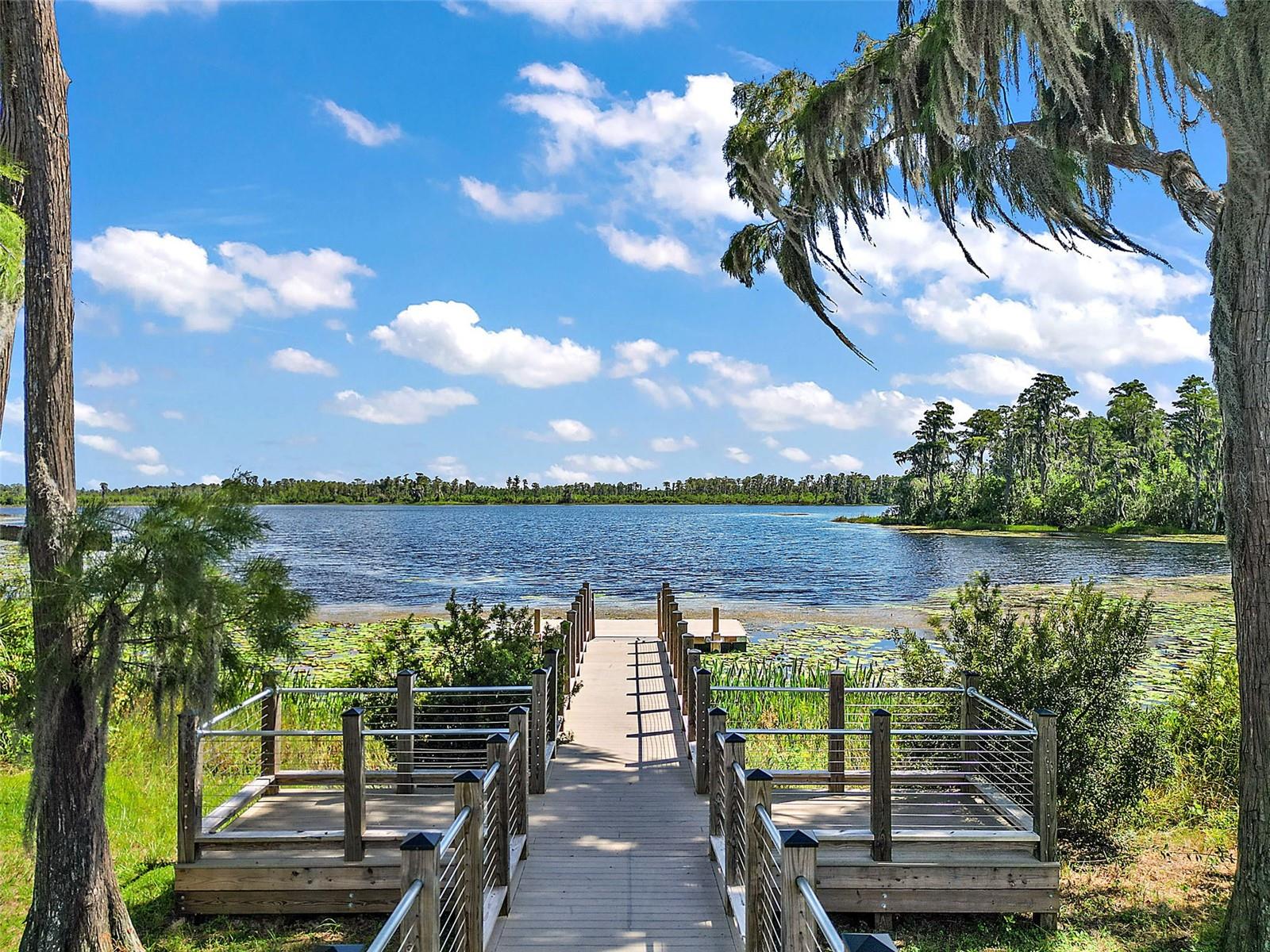 17406 SAW PALMETTO AVE, CLERMONT, FL, 34714