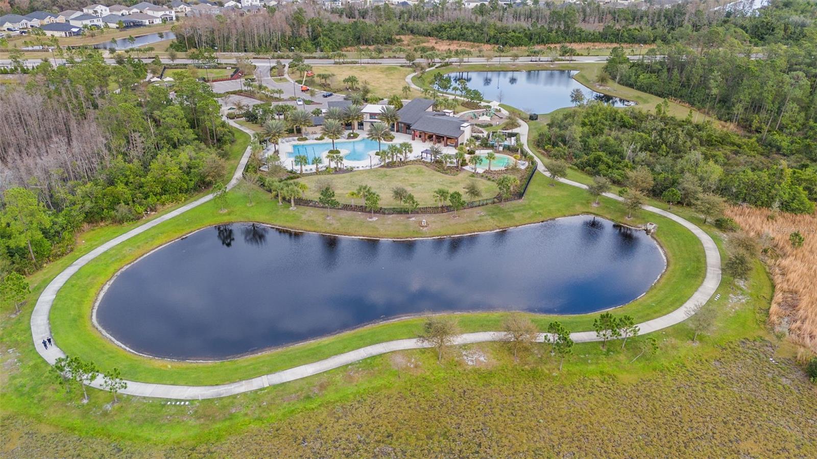17406 SAW PALMETTO AVE, CLERMONT, FL, 34714