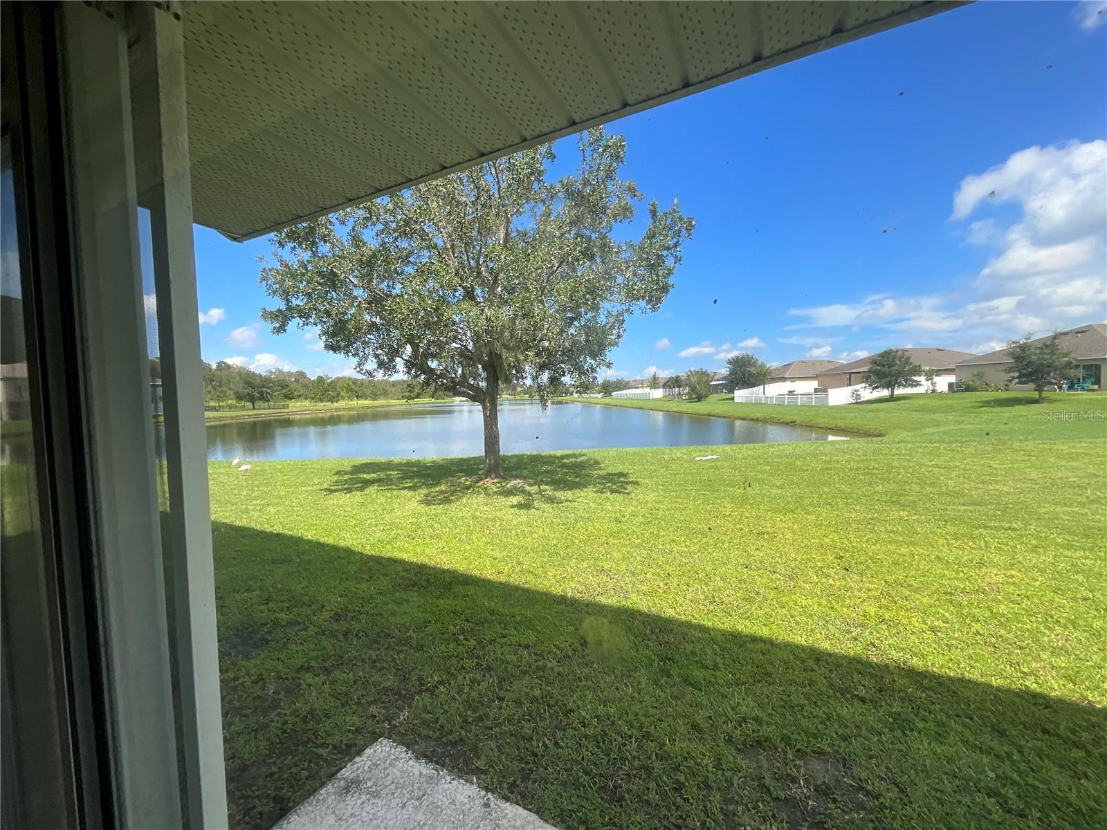 3643 DAYDREAM PL, SAINT CLOUD, FL, 34772