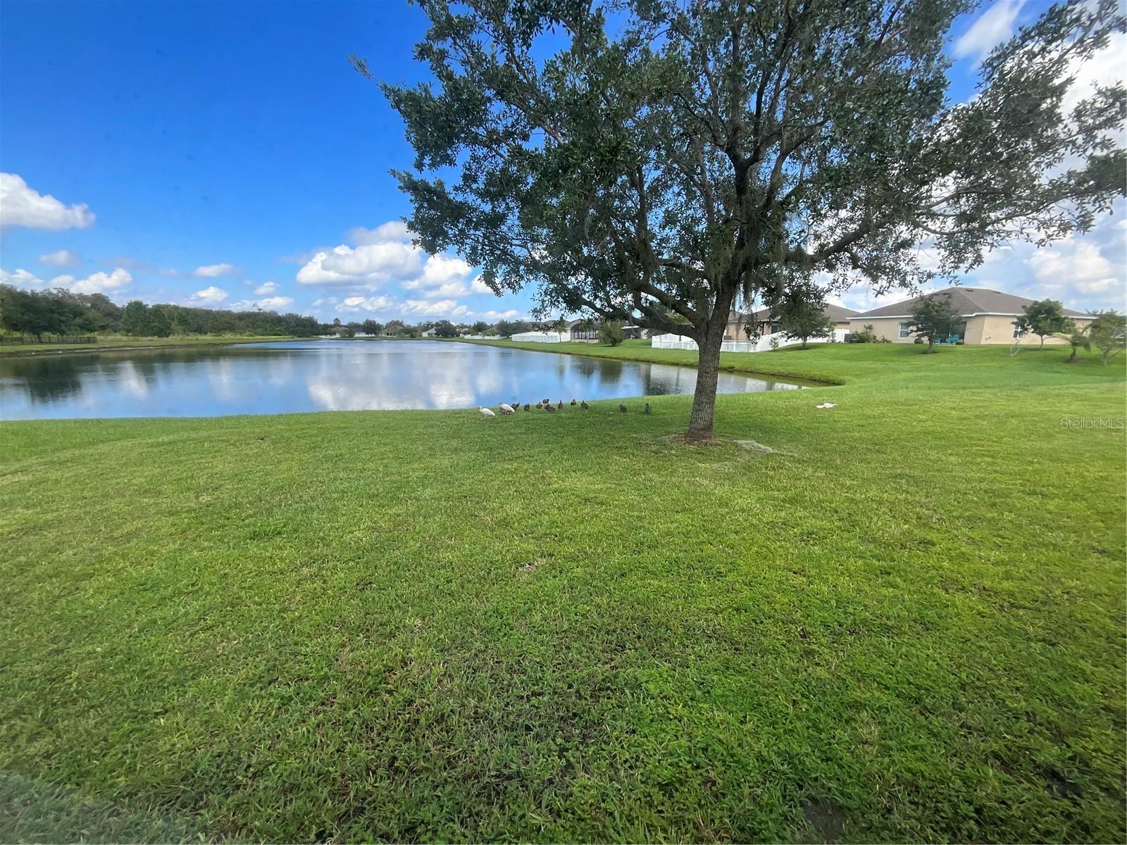 3643 DAYDREAM PL, SAINT CLOUD, FL, 34772