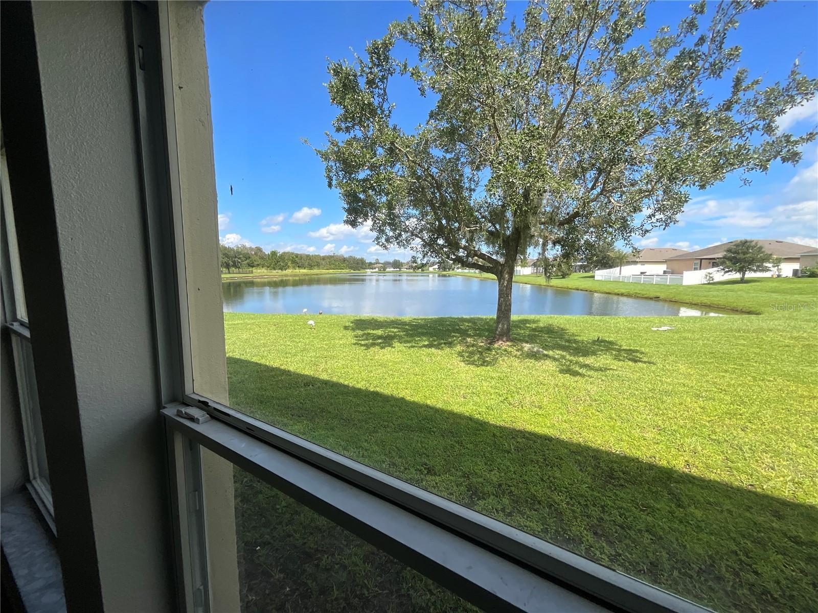 3643 DAYDREAM PL, SAINT CLOUD, FL, 34772