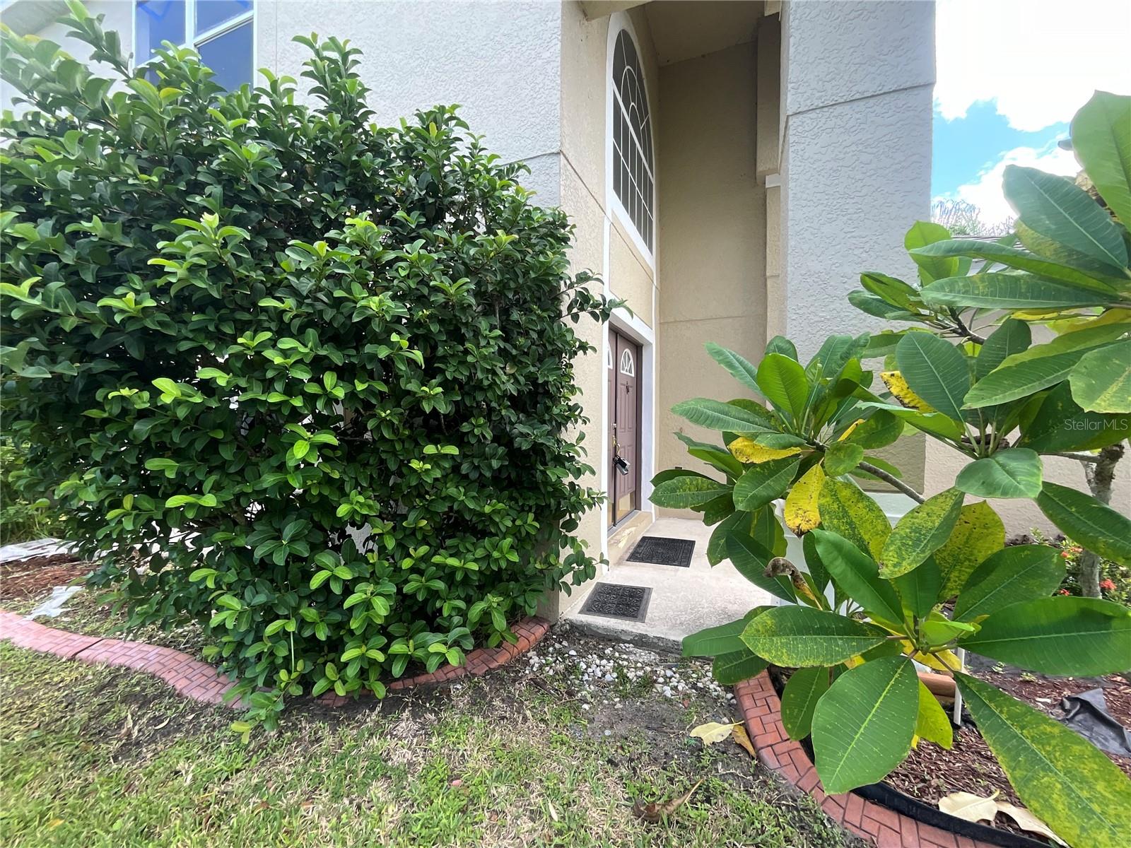 3643 DAYDREAM PL, SAINT CLOUD, FL, 34772
